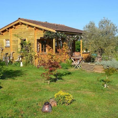 Chalet Bois Pleine Campagne A Pontigny المظهر الخارجي الصورة