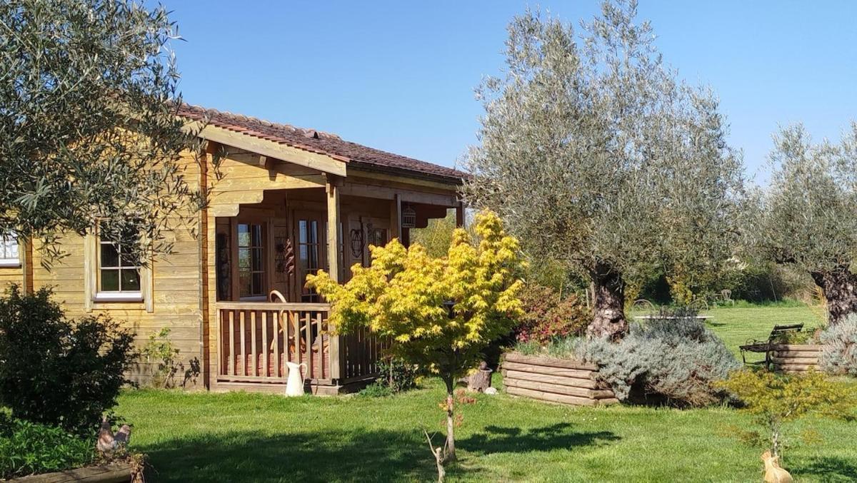 Chalet Bois Pleine Campagne A Pontigny المظهر الخارجي الصورة