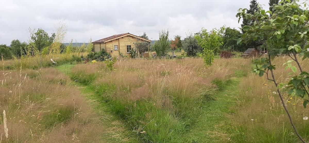 Chalet Bois Pleine Campagne A Pontigny المظهر الخارجي الصورة